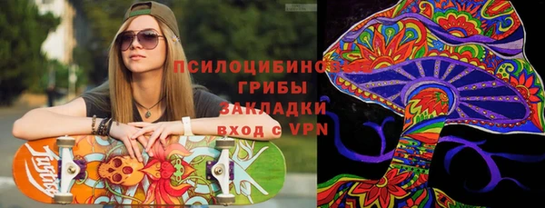 гашик Лагань